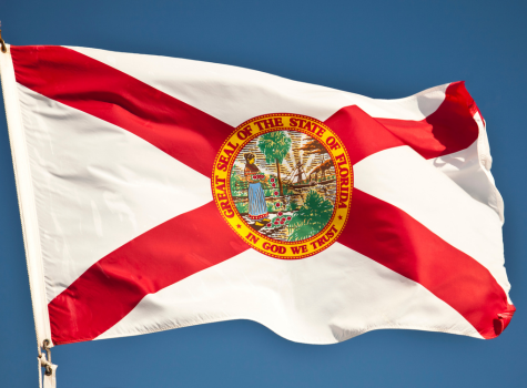 Florida Flag Florida Flag