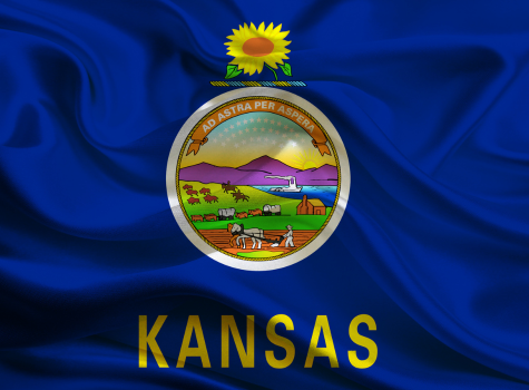 Kansas Flag