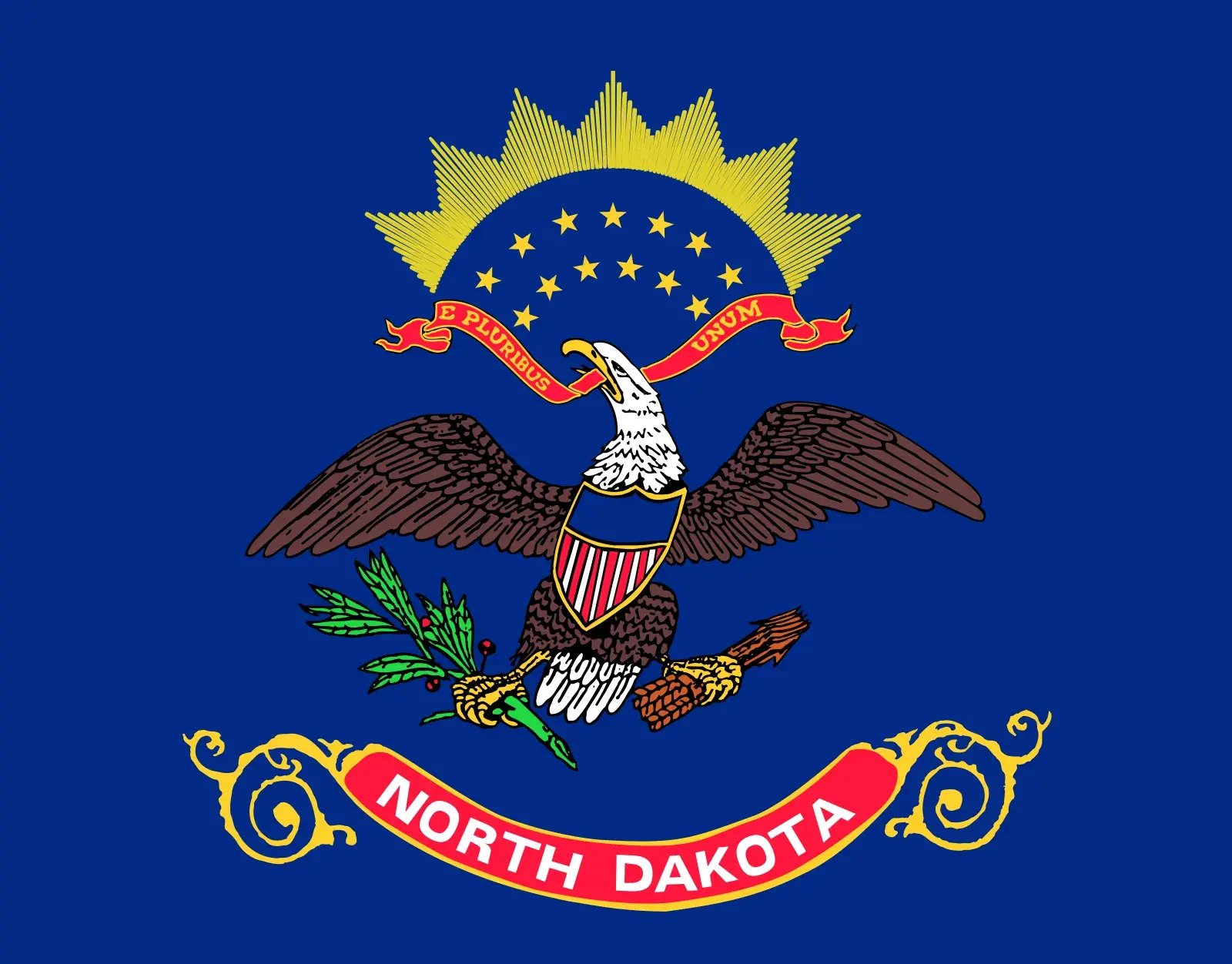 flag-North-Dakota-National-Guard-change-state-1911